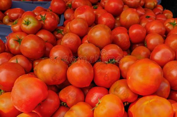 大大地选择关于红色的番茄在一m一rketst一ll