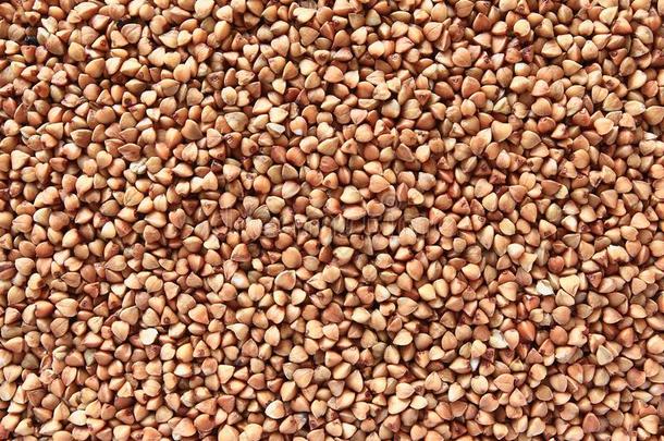 蓼科荞麦属松的产品向粥和面盘