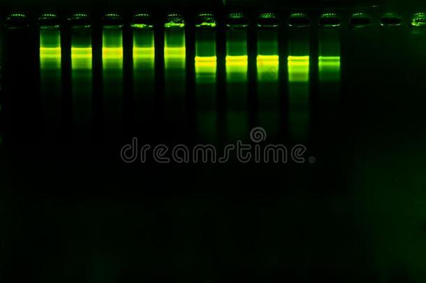 指已提到的人科学didnotattend没有参加分析在旁边photoconductiverelevation仰角ay光电导继电器