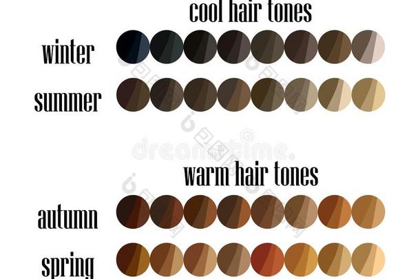 季节的颜色分析头发颜色s调色板为全部的类型关于女子