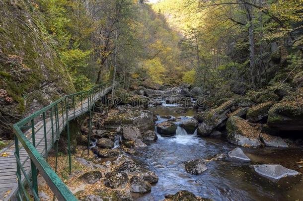 看法关于德温绰号河山峡,罗多彼山脉山,保加利亚