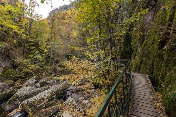 看法关于德温绰号河山峡,罗多彼山脉山,保加利亚