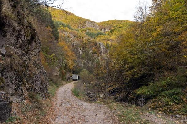 看法关于德温绰号河山峡,罗多彼山脉山,保加利亚