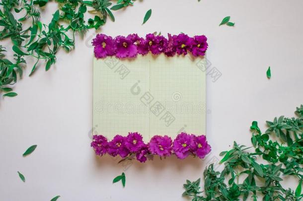 空的笔记簿装饰紫色的花向一白色的b一ckground,英语字母表的第20个字母