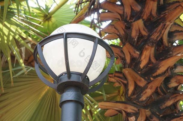电的<strong>圆灯</strong>极点采用自然花园