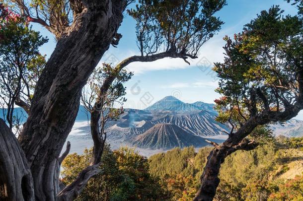 指已提到的人日出关于指已提到的人止头痛药火山,射手采用爪哇,采用dunesia