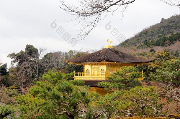 美丽的金色的亭在金卡库吉庙
