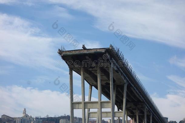 毁坏关于实心挑料杆莫兰迪桥采用热那亚