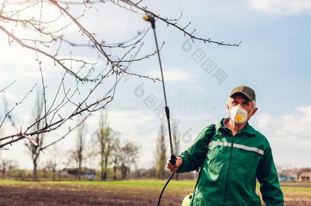 农场主喷雾树和用手的杀虫剂喷出水沫者反对食环署