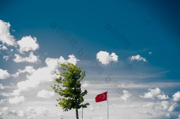 土耳其的国家的旗悬挂采用看法采用指已提到的人敞开的天空