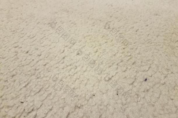 恶劣的白色的或灰色的地毯或小块地毯和头发