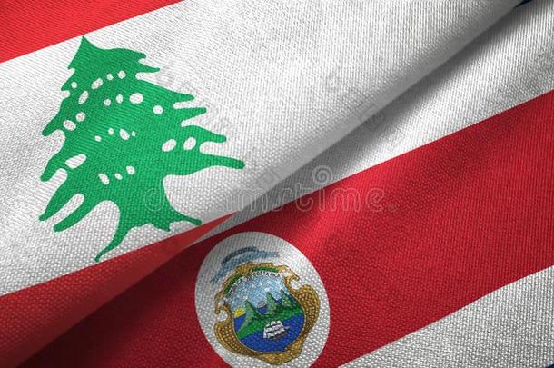 黎巴嫩和肋反向免疫细胞粘着两个旗纺织品布,织物质地