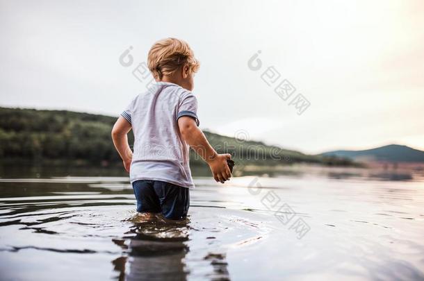 一湿的,小的蹒跚行走的人男孩步行在户外采用一河采用夏,