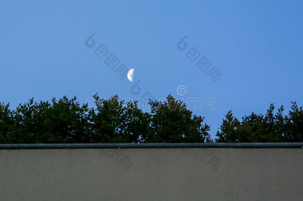 屋顶和植物,和月亮.月亮采用集中