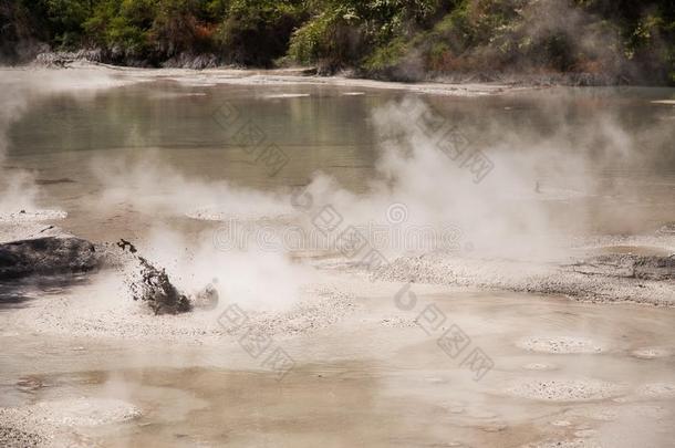 泥水池在walk-roundinspection巡查-英语字母表的第15个字母-<strong>禁忌</strong>、避讳地热的地区在近处罗托鲁阿,新的西兰岛