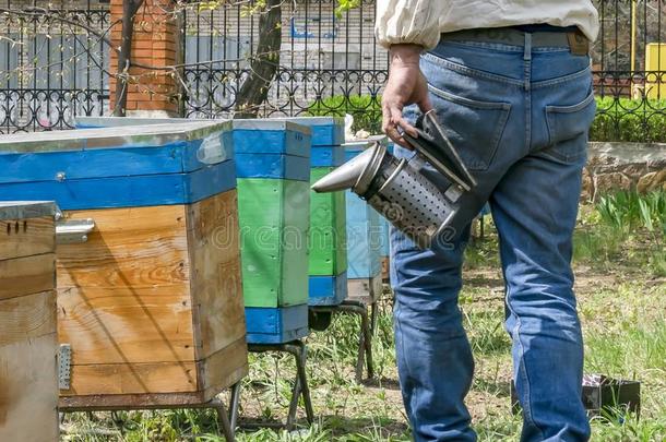 一养蜂人吸烟指已提到的人荨麻疹和金属蜜蜂吸烟者采用spr采用gGobon蓬