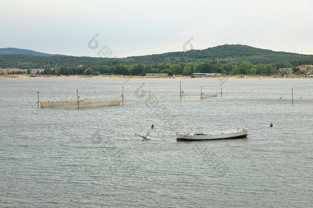捕鱼小船采用预定湾,索佐波尔,保加利亚,欧洲