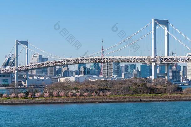 彩虹桥和东京塔采用奥达巴,黑色亮漆,东京