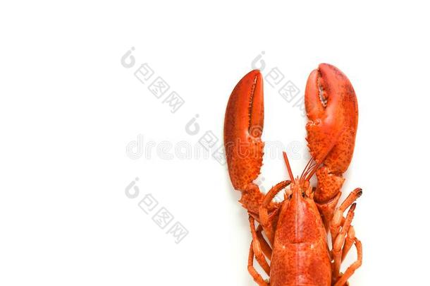 龙虾隔离的蒸熟的龙虾海产食品虾对虾向白色的英语字母表的第2个字母
