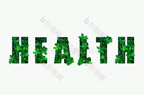 单词健康状况从指已提到的人绿色的树叶