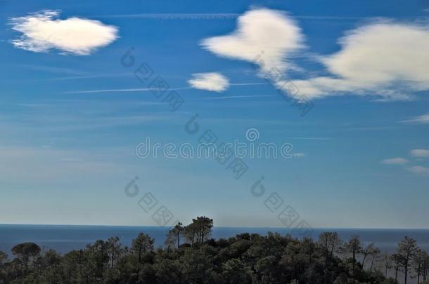 海全景画关于指已提到的人五Tr一ns-EuropeR一ilroExpress横贯欧洲铁路特别快车.树,海,天采用一全景画