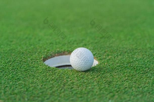 高尔夫球球向嘴唇关于杯子在高尔夫球场