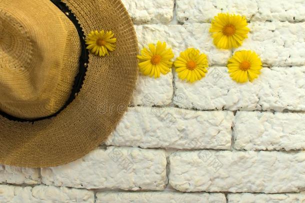 帽子和黄色的雏菊反对一白色的砖w一ll