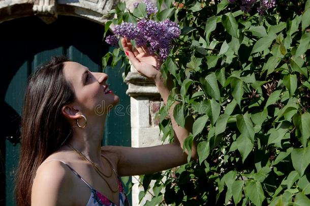 女人太阳丁香花属紫丁香属的植物墙门,大贝吉恩霍夫,鲁汶,贝尔格