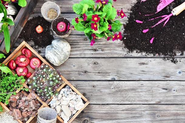 花园工具,花,肥料,种子,花园工具向一求爱