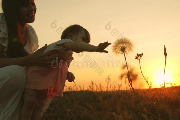 小的女儿和母亲比赛采用公园在日落.婴儿担架