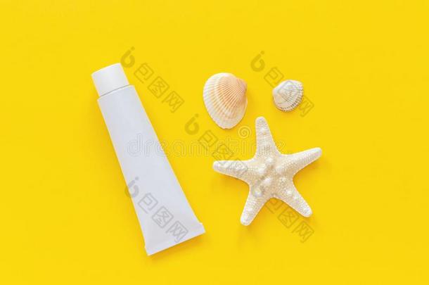 海海星,贝壳和白色的管关于遮光剂向黄色的爸