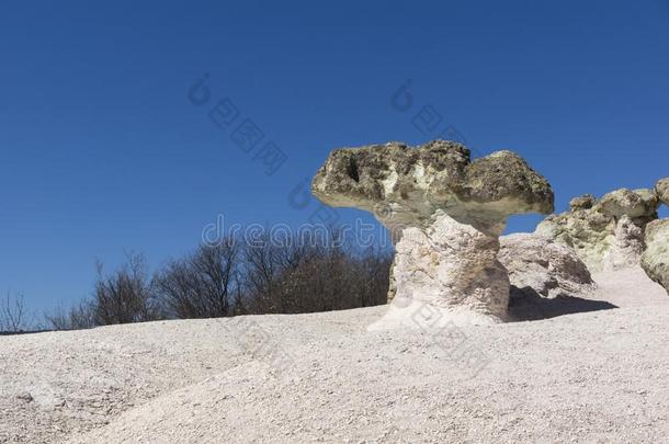 岩石形成指已提到的人石头蘑菇在近处贝利塑料村民,卡德