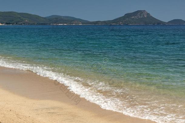 夏看法关于三合会海滩在锡索尼亚半岛,白垩纪