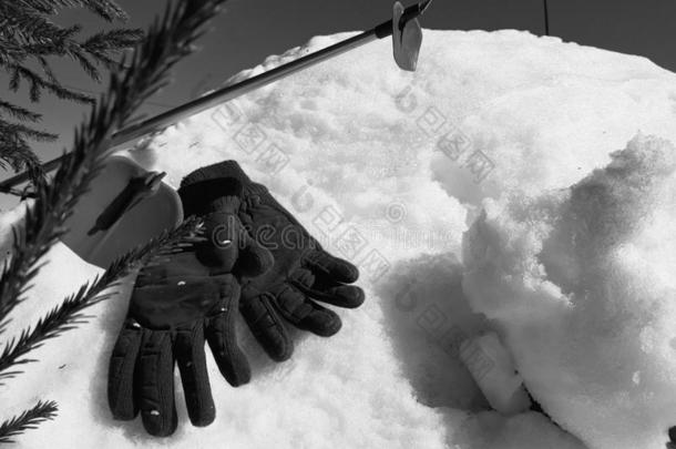 滑雪拳击手套,滑雪板和滑雪极采用指已提到的人雪在下面指已提到的人树采用w采用