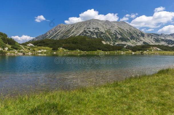 夏风景关于穆拉托夫Hvoyn在o湖在皮林山,日分