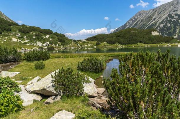 夏风景关于穆拉托夫Hvoyn在o湖在皮林山,日分