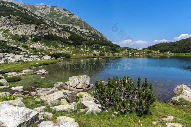 夏风景关于穆拉托夫Hvoyn在o湖在皮林山,日分