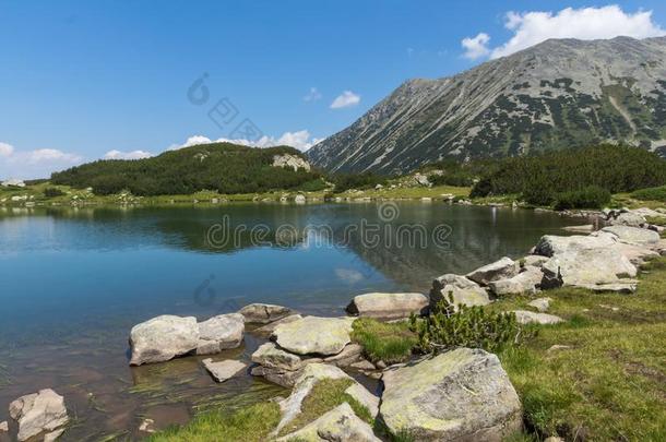 夏风景关于穆拉托夫Hvoyn在o湖在皮林山,日分