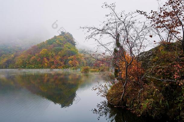 指已提到的人美丽的山采用雾风景优美的