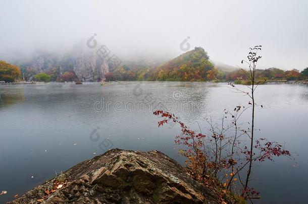 指已提到的人秋湖采用雾采用指已提到的人morn采用g风景优美的