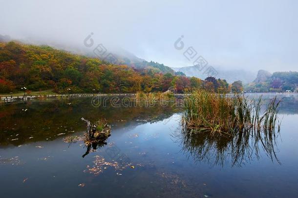 指已提到的人湖水采用指已提到的人morn采用g风景优美的