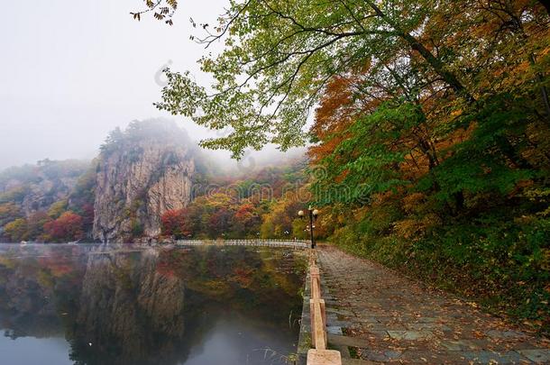 指已提到的人美丽的秋风景