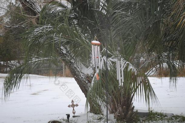 一小的南方美国佐治亚州雪