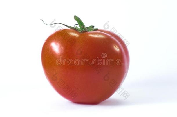 番茄红色的食物蔬菜成熟的有机的