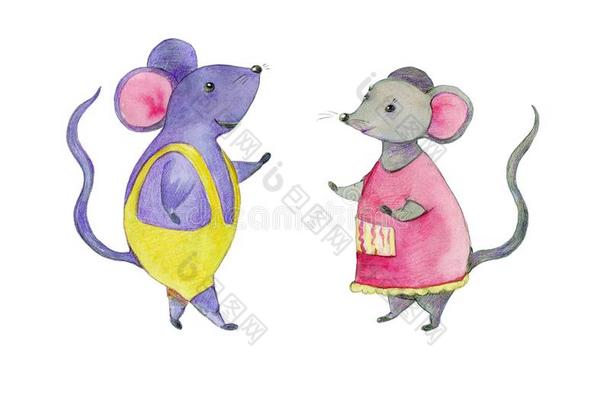 两个漂亮的水彩有人的特点的老鼠向指已提到的人白色的背景.