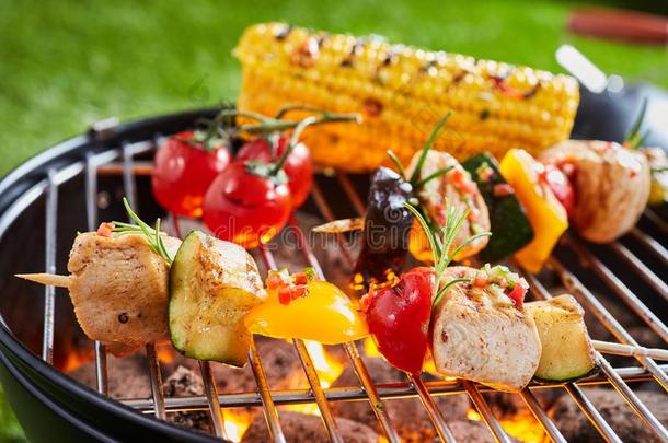 素食者或严格的素食主义者烤腌羊肉串和豆腐向指已提到的人barbecue吃烤烧肉的野餐