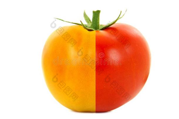一半的成熟的和一半的un成熟的番茄