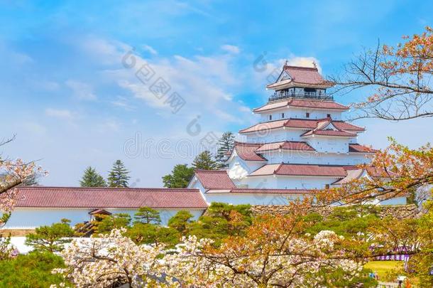阿祖-wakamatsu公司城堡和樱桃花采用福岛,黑色亮漆