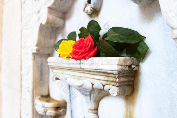 美丽的新鲜的红色的和黄色的玫瑰花向st向e大理石NationalAssociationofTreUnions全国<strong>工会</strong>联合会