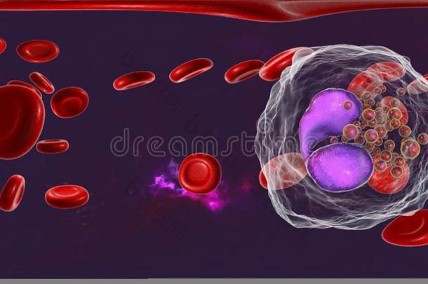 <strong>360</strong>-音阶球形的全景画关于嗜酸粒细胞,一白色的血细胞